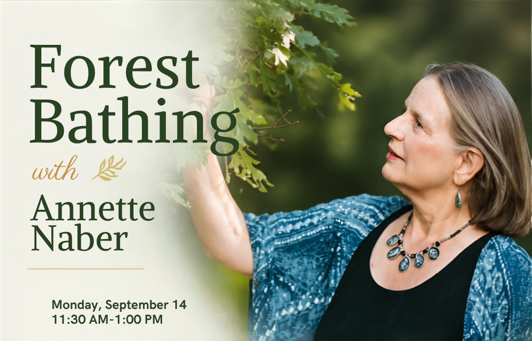 Forest Bathing with Annette Naber