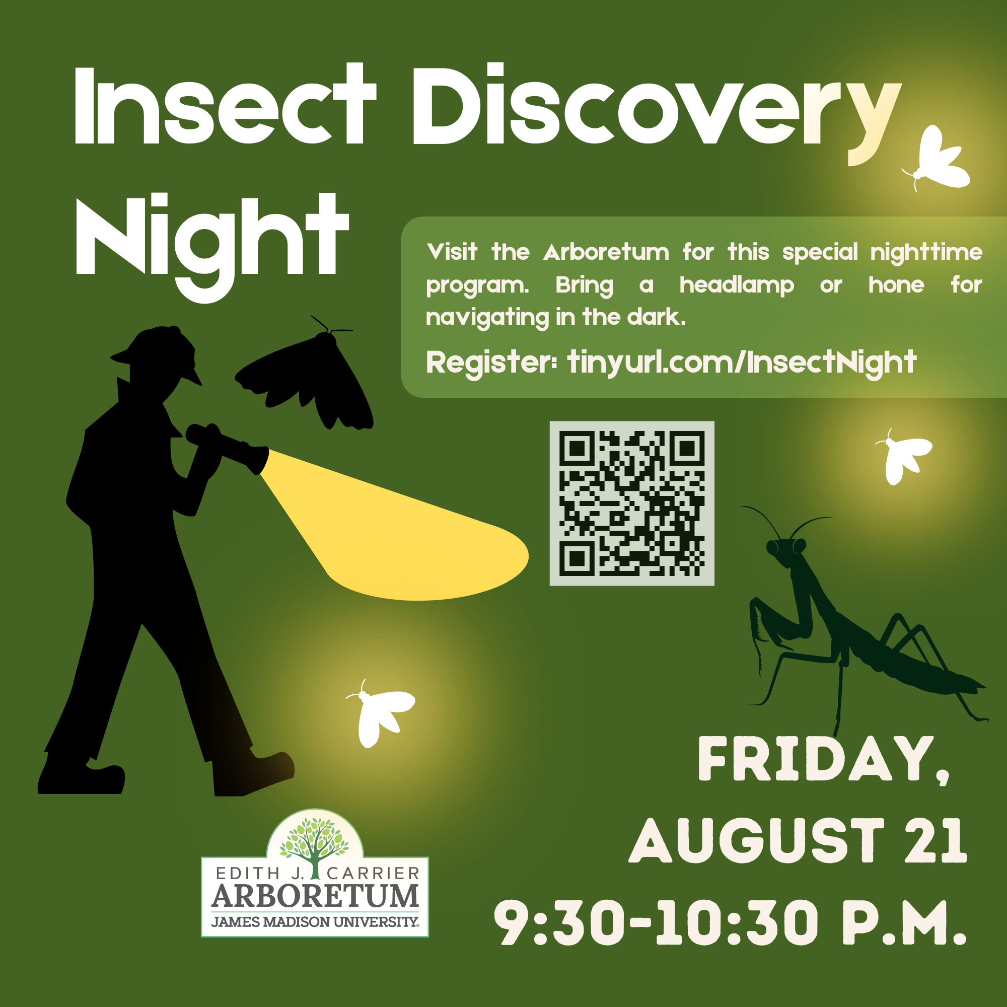 Insect Discovery Night