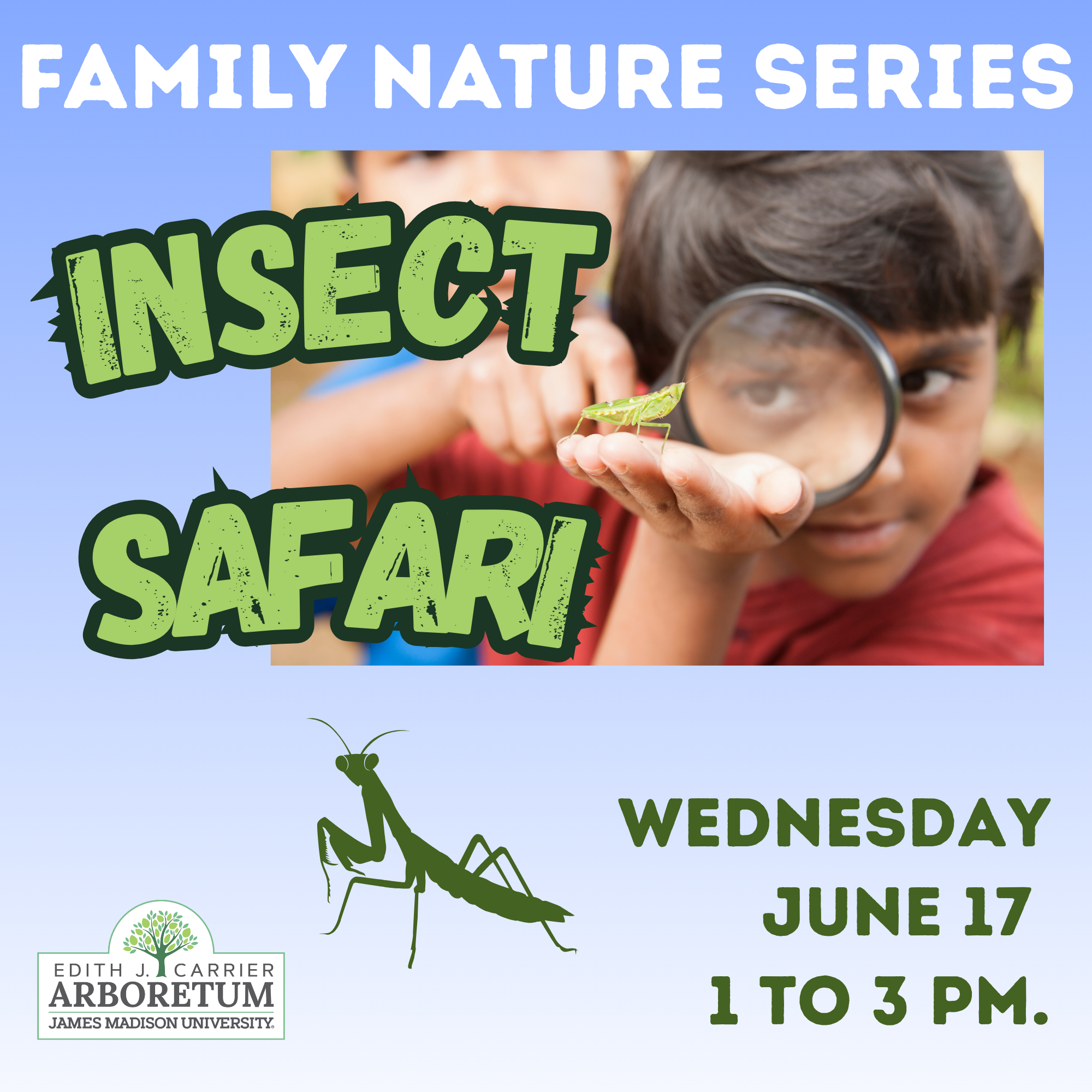 Insect Safari workshop for families. 