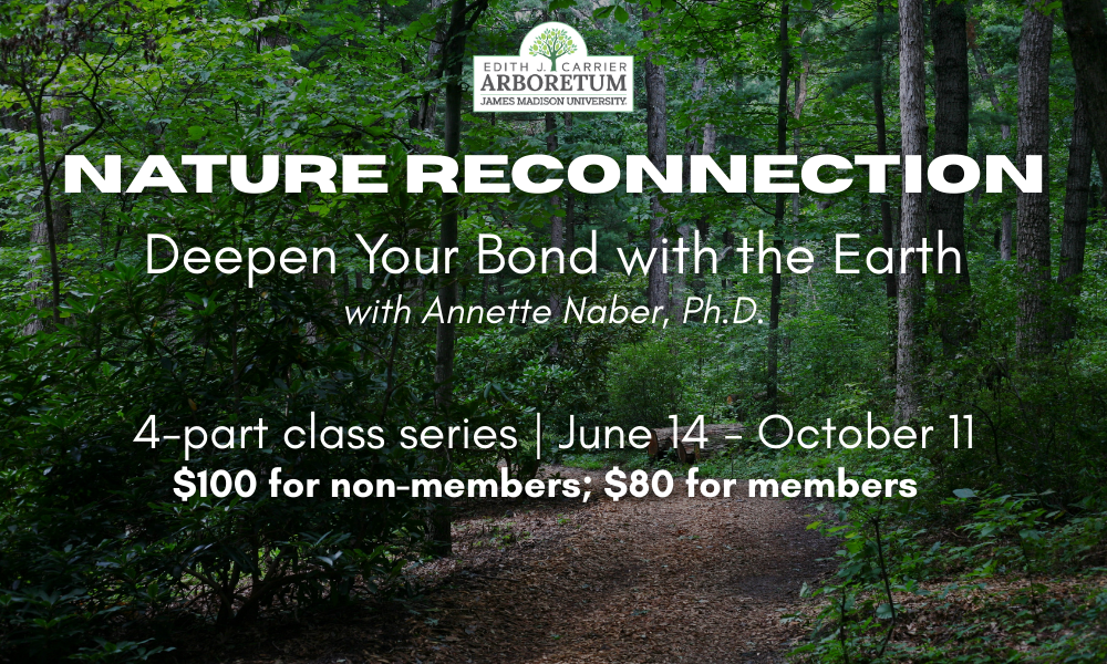 flyer for Nature Reconnection 4-part class at the Arboretum