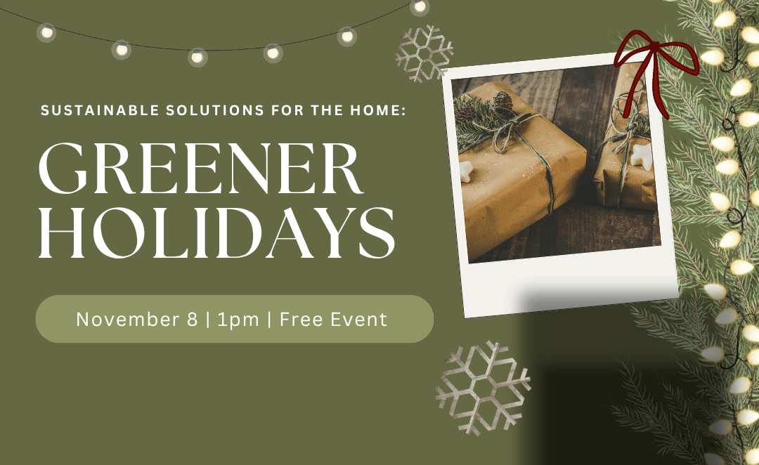 Sustainable Solutions Greener Holidays
