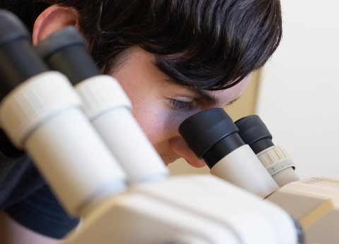 image for Explore Career Opportunities