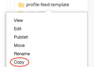 copy-profile-feed-template-file.png
