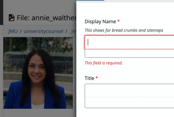 profile display name and title