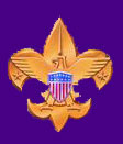 Boy Scout Emblem