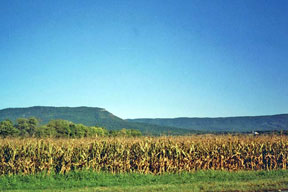 A view of Massanutten Mountain