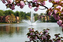 The fountain on Newan Lake