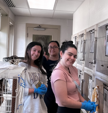image for Rockingham SPCA
