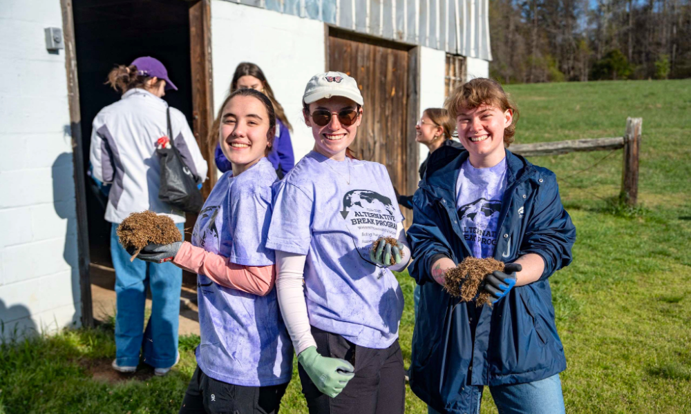 Image of students volunteering on an Alternative Break