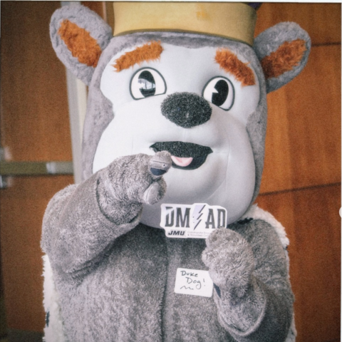 image for DMAD