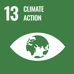 13 Climate action. An eye with a globe in place of the pupil
