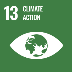 13 Climate action. An eye with a globe in the place of the pupil