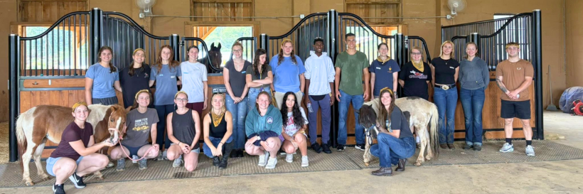 group photo in a barn with horses