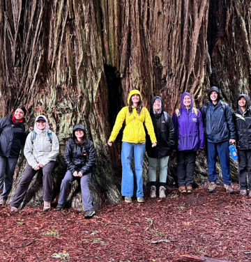 image for Redwood Park