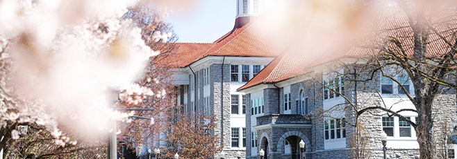 Cherry blossoms in the foreground of Wilson Hall a historic stone building with a red-tiled roof on a sunny day.