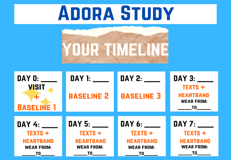 Sample Timeline for the ADORA Study