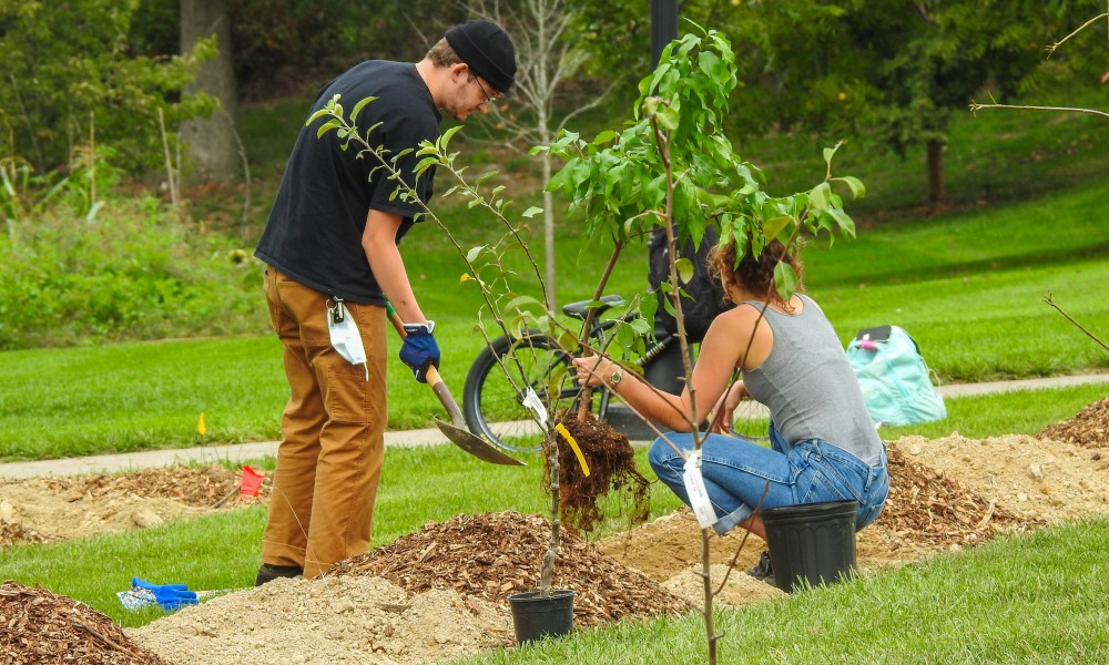 Tree planting in JMU's food forest