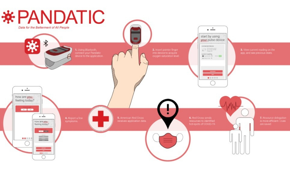 Pandatic User Journey