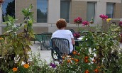 Rooftop Garden