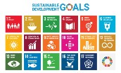 UN Sustainable Development Goals