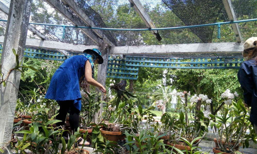 Olivia Meyer working outside the laboratory with Orchids