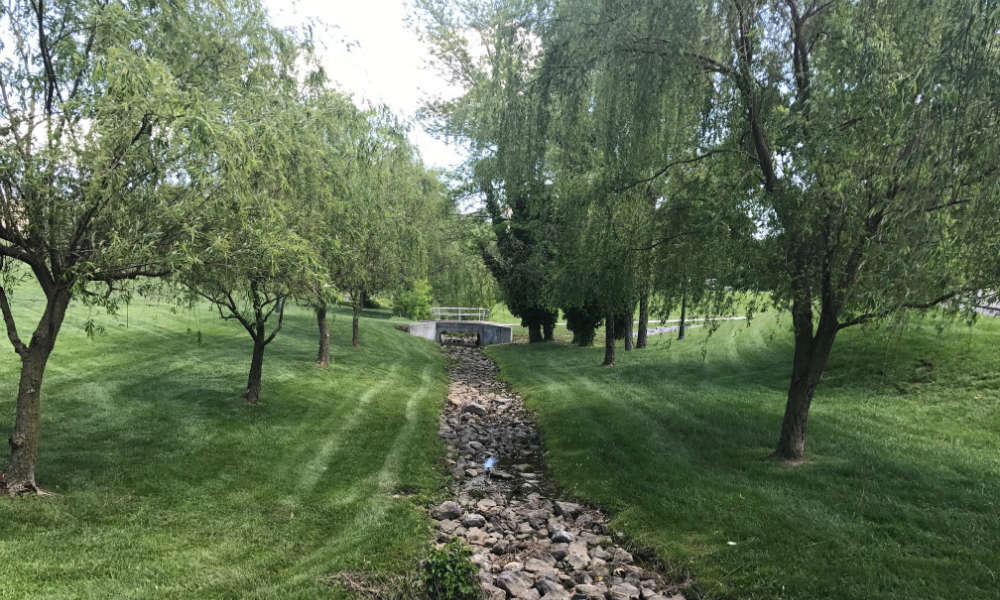 JMU's Hillside stream restoration project