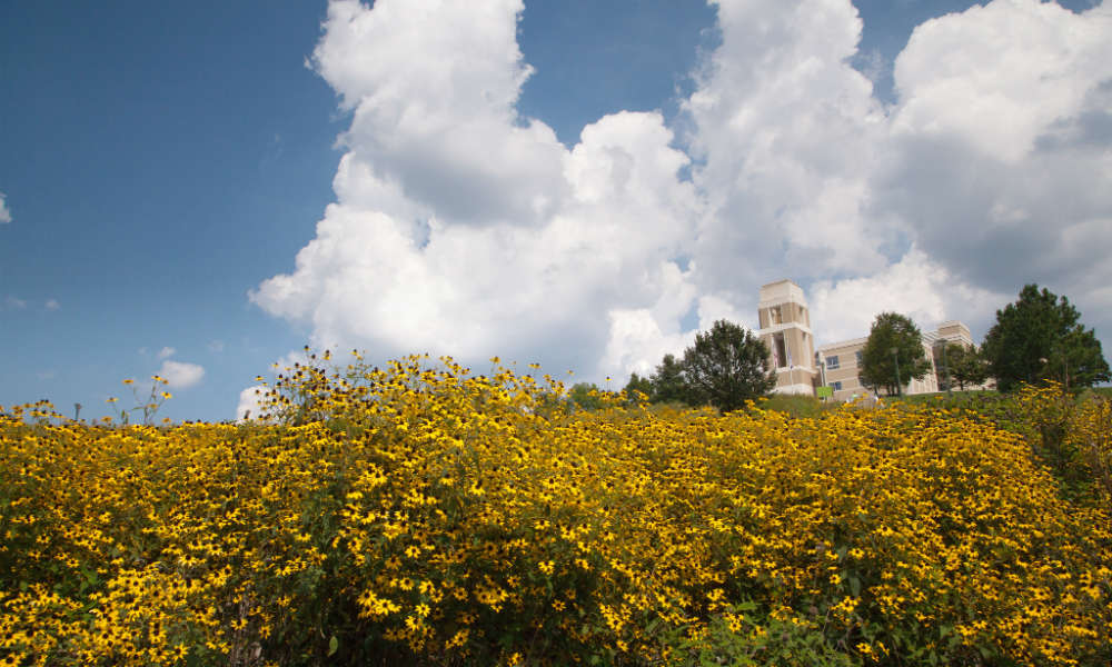 JMU's Hillside on East Campus