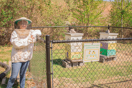 Students near the bee hives on East Campus