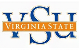 vsu.png