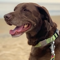 Profile Image for Gracie  