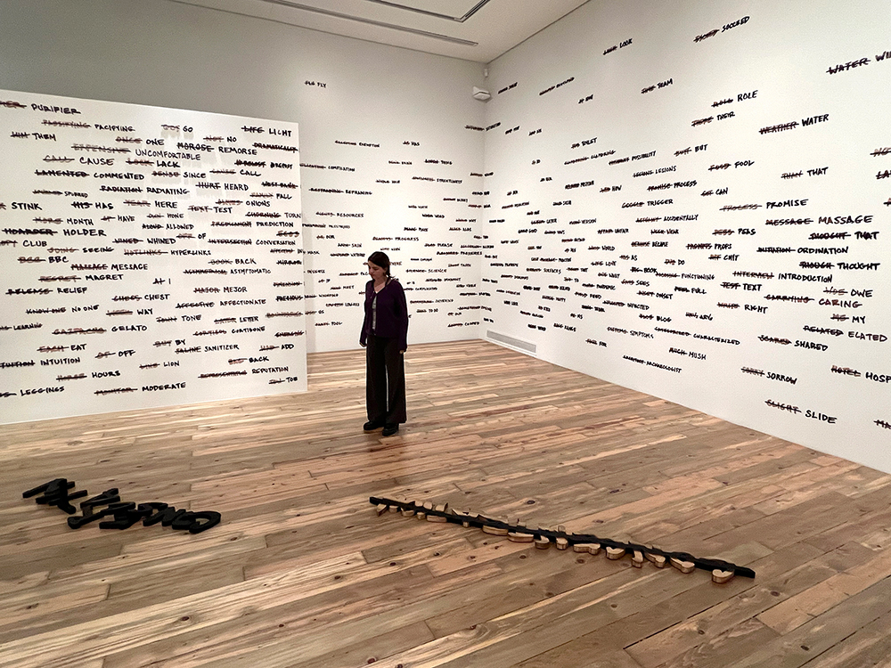 Pato Hebert art installation