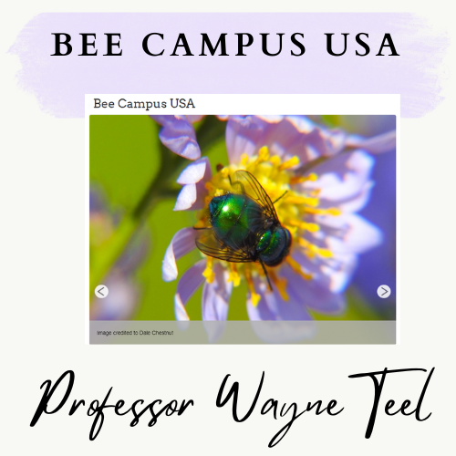 image for Thank you, Professor Teel!