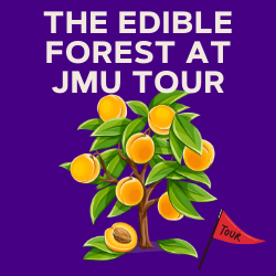 The Edible Forest at JMU Tour