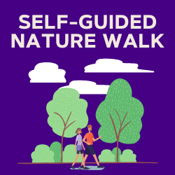 Self-Guided Nature Walk
