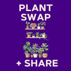 Plant Swao and Share