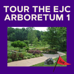Tour the EJC Arboretum 1