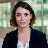 Profile Image for Silvia D'Amato