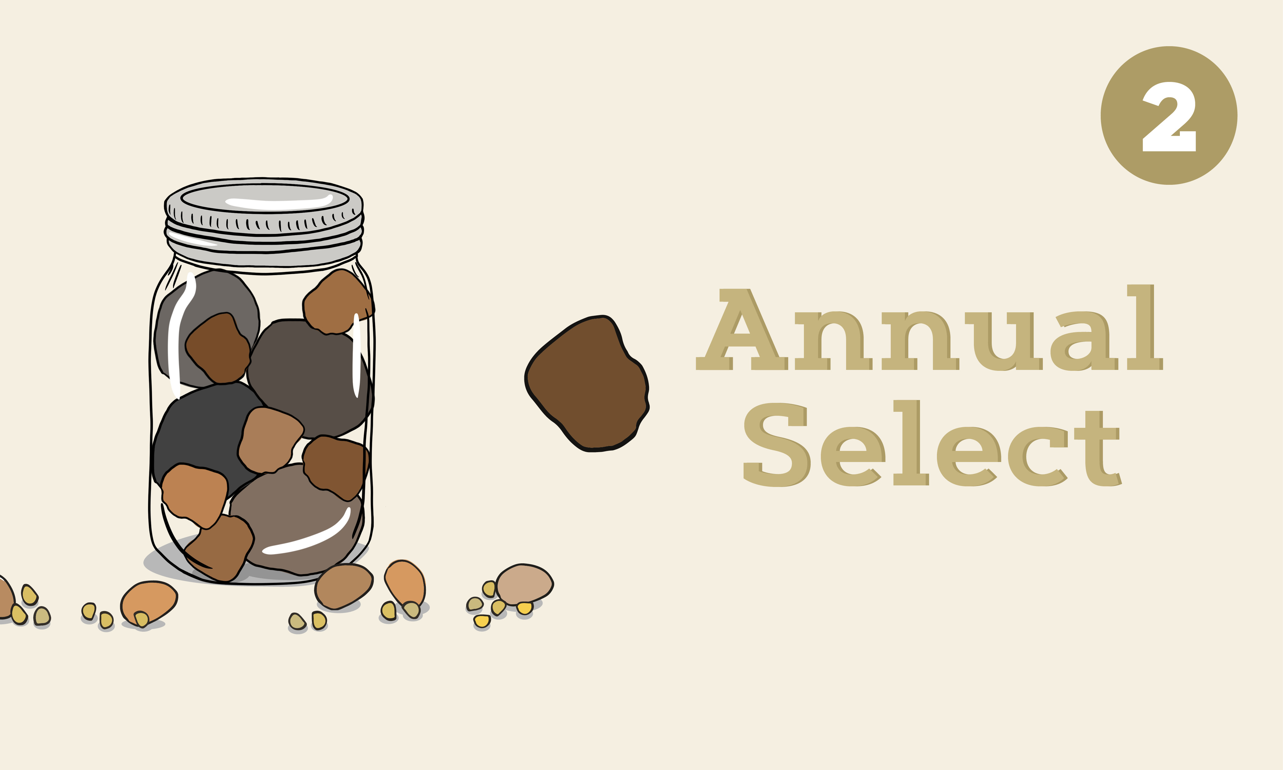 Gold graphic of mason jar with rocks that says Event Scheduling Timeline