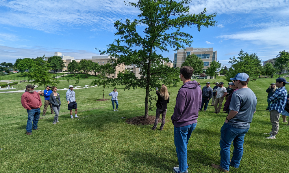 A state forester explaining proper urban tree pruning and basic care.