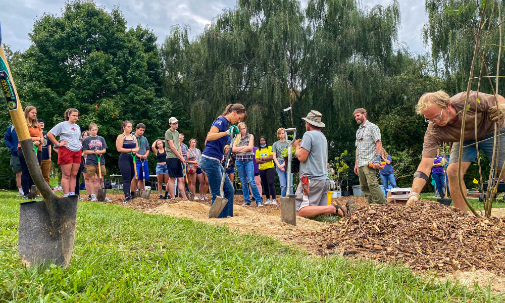 Student volunteers planting edible forest trees on campus.