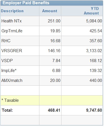 Employer Paid Benefits section