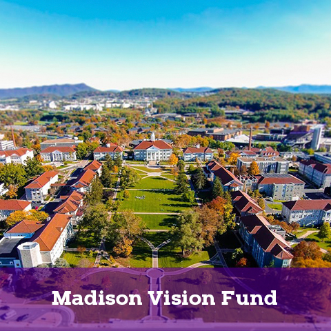 Madison Vision Fund