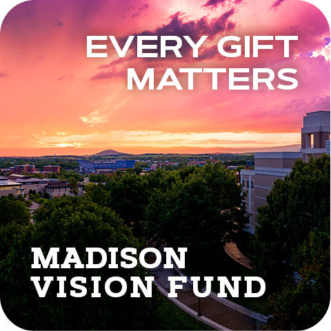 vision_fund-1.jpg