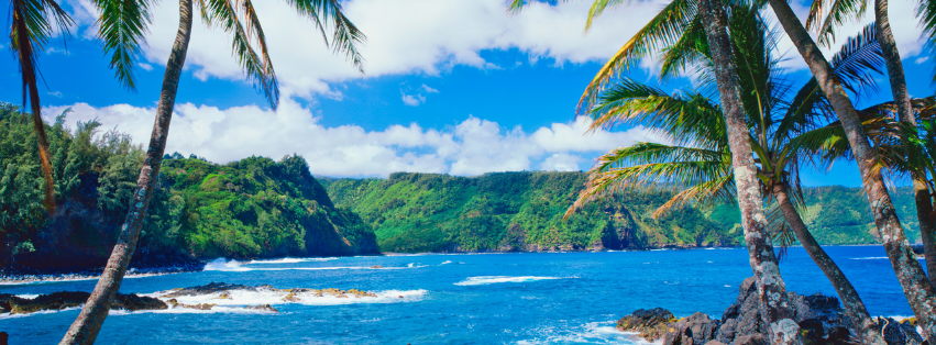 Decorative Cover Photo Image