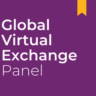 IEW Global Virtual Exchange