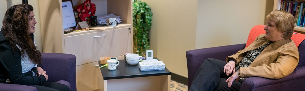 Counseling &amp; Supervision landing page image