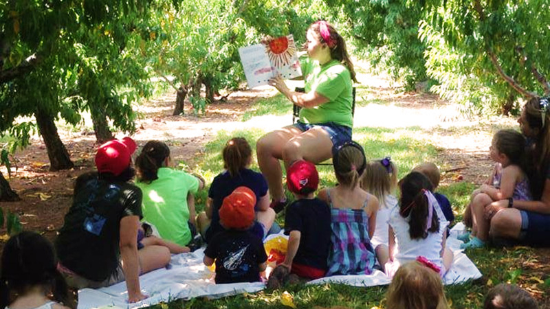 An adult reads a picture book to a group of children sitting on a blanket under shady trees outdoors.