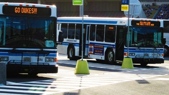 Two city buses at a transit stop, with one displaying “GO DUKES!!!” on its destination sign.