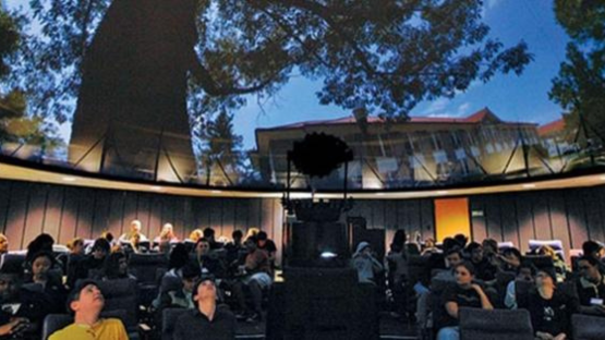 Outdoor amphitheater-style seating filled with people watching a movie on a large screen under trees at night.