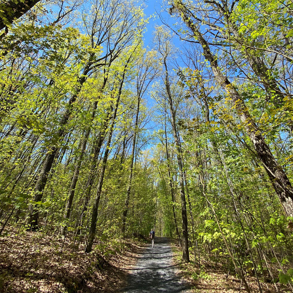 image for Faculty & Staff Clubs